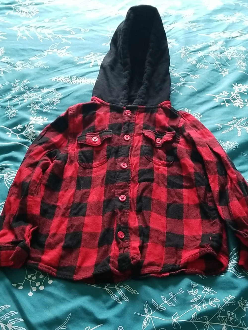 Ralph Lauren #1 flannel